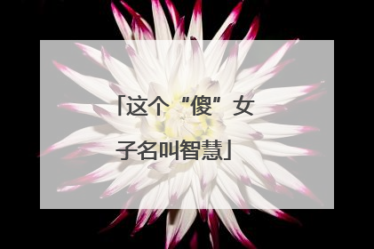 这个“傻”女子名叫智慧