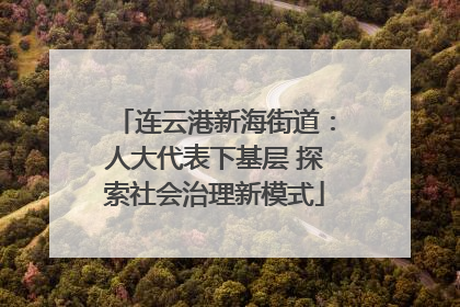 连云港新海街道：人大代表下基层 探索社会治理新模式