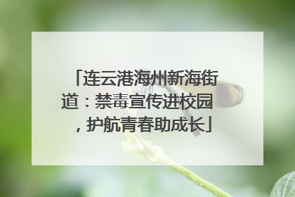 连云港海州新海街道：禁毒宣传进校园，护航青春助成长
