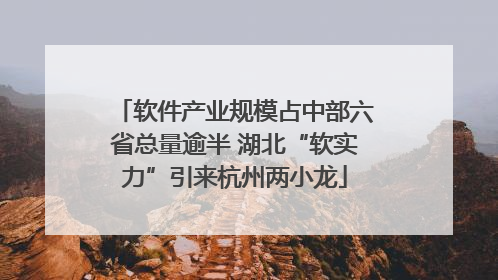 软件产业规模占中部六省总量逾半 湖北“软实力”引来杭州两小龙