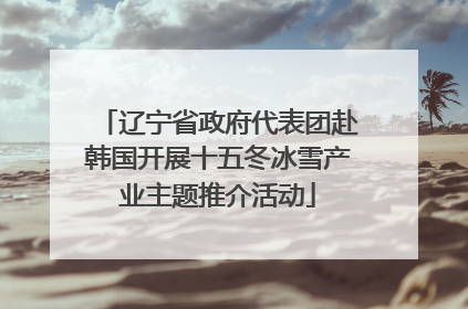 辽宁省政府代表团赴韩国开展十五冬冰雪产业主题推介活动