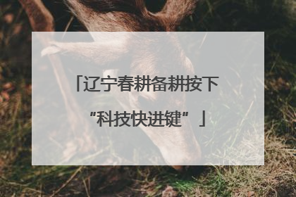 辽宁春耕备耕按下“科技快进键”