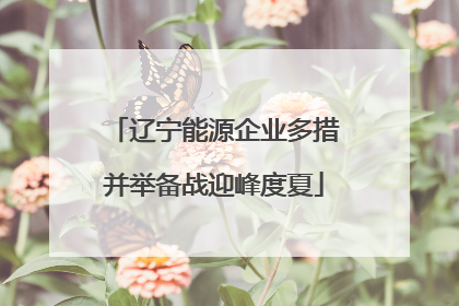 辽宁能源企业多措并举备战迎峰度夏