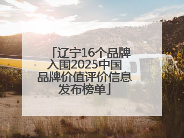 辽宁16个品牌入围2025中国品牌价值评价信息发布榜单