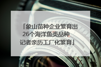 象山苗种企业繁育出26个海洋鱼类品种 记者亲历工厂化繁育