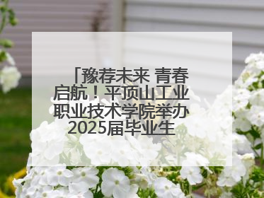 豫荐未来 青春启航！平顶山工业职业技术学院举办2025届毕业生夏季招聘会