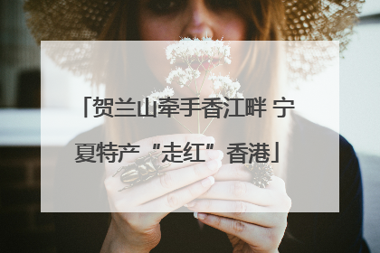 贺兰山牵手香江畔 宁夏特产“走红”香港