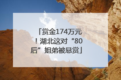 赏金174万元！湖北这对“80后”姐弟被悬赏