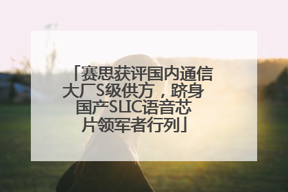 赛思获评国内通信大厂S级供方，跻身国产SLIC语音芯片领军者行列
