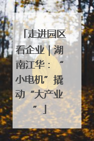 走进园区看企业｜湖南江华：“小电机”撬动“大产业”
