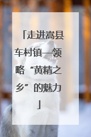 走进嵩县车村镇—领略“黄精之乡”的魅力