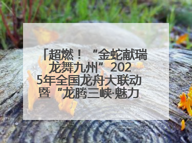 超燃！“金蛇献瑞 龙舞九州”2025年全国龙舟大联动暨“龙腾三峡·魅力巫山”龙舟邀请赛圆满落幕！