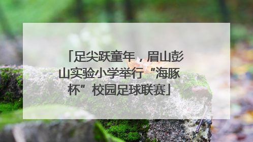 足尖跃童年，眉山彭山实验小学举行“海豚杯”校园足球联赛