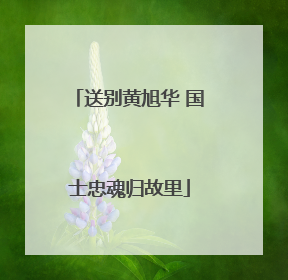 送别黄旭华 国士忠魂归故里