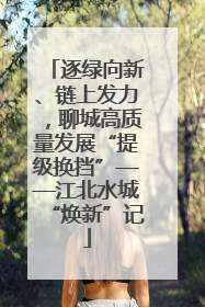 逐绿向新、链上发力，聊城高质量发展“提级换挡”——江北水城“焕新”记