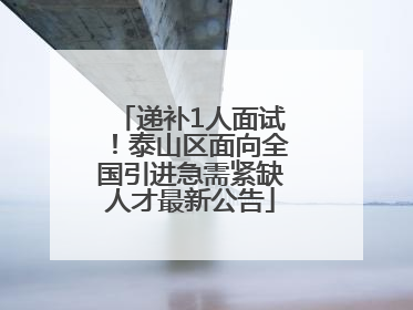递补1人面试！泰山区面向全国引进急需紧缺人才最新公告
