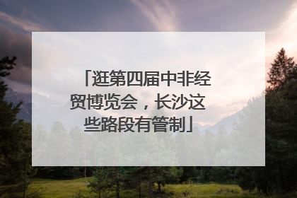 逛第四届中非经贸博览会，长沙这些路段有管制