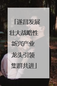 遂昌发展壮大战略性新兴产业 龙头引领 集群共进
