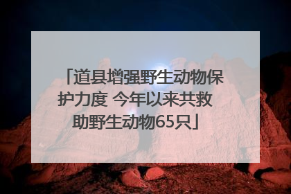 道县增强野生动物保护力度 今年以来共救助野生动物65只