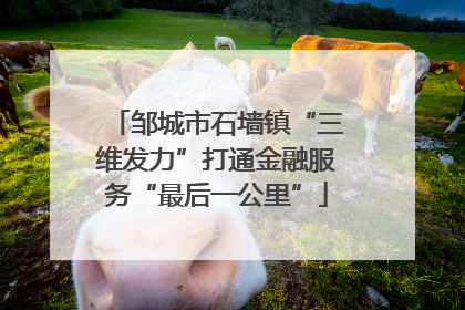 邹城市石墙镇“三维发力”打通金融服务“最后一公里”