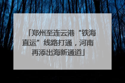 郑州至连云港“铁海直运”线路打通，河南再添出海新通道