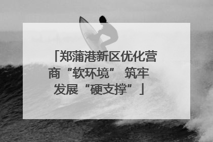 郑蒲港新区优化营商“软环境” 筑牢发展“硬支撑”
