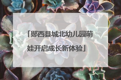 郧西县城北幼儿园萌娃开启成长新体验