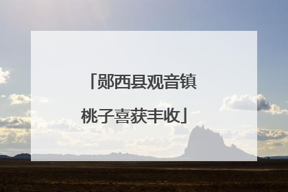 郧西县观音镇桃子喜获丰收