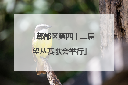 郫都区第四十二届望丛赛歌会举行