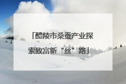 醴陵市桑蚕产业探索致富新“丝”路