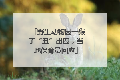 野生动物园一猴子“丑”出圈，当地保育员回应