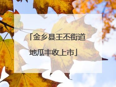 金乡县王丕街道地瓜丰收上市