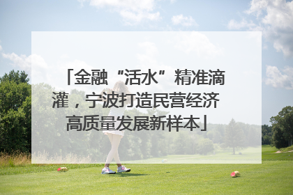 金融“活水”精准滴灌，宁波打造民营经济高质量发展新样本
