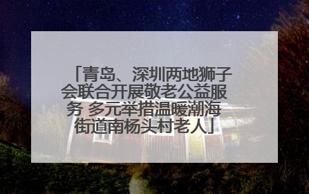 青岛、深圳两地狮子会联合开展敬老公益服务 多元举措温暖潮海街道南杨头村老人