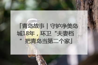 青岛故事｜守护净美岛城18年，环卫“夫妻档”把青岛当第二个家