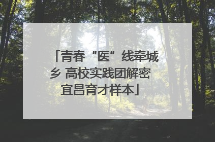 青春“医”线牵城乡 高校实践团解密宜昌育才样本