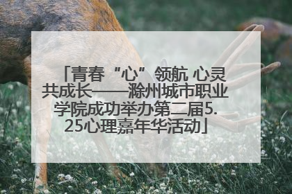 青春“心”领航 心灵共成长——滁州城市职业学院成功举办第二届5.25心理嘉年华活动