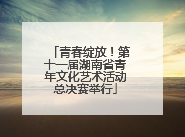 青春绽放！第十一届湖南省青年文化艺术活动总决赛举行