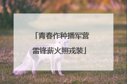 青春作种播军营 雷锋薪火照戎装