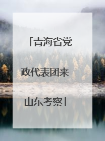 青海省党政代表团来山东考察