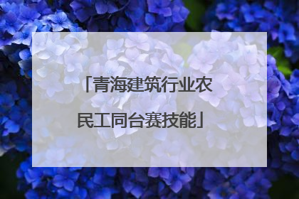 青海建筑行业农民工同台赛技能