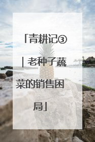 青耕记③｜老种子蔬菜的销售困局