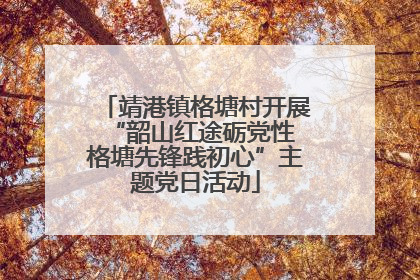 靖港镇格塘村开展“韶山红途砺党性 格塘先锋践初心”主题党日活动