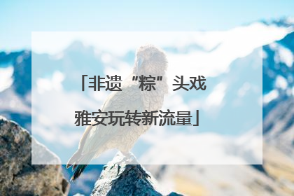非遗“粽”头戏 雅安玩转新流量