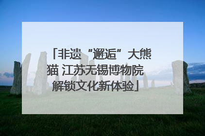 非遗“邂逅”大熊猫 江苏无锡博物院解锁文化新体验