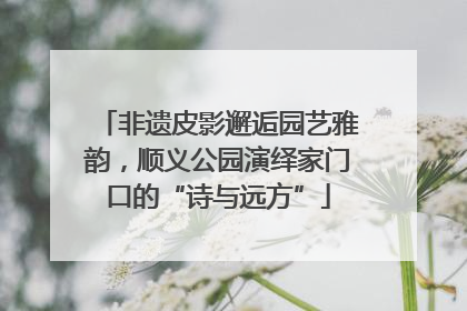 非遗皮影邂逅园艺雅韵，顺义公园演绎家门口的“诗与远方”