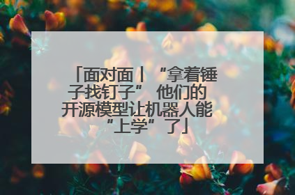 面对面丨“拿着锤子找钉子” 他们的开源模型让机器人能“上学”了