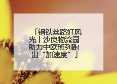钢铁丝路好风光丨沙良物流园助力中欧班列跑出“加速度”