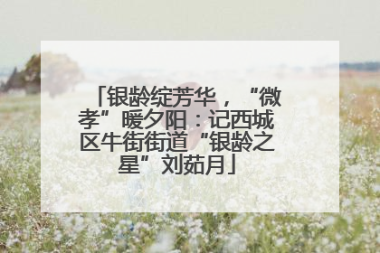 银龄绽芳华，“微孝”暖夕阳：记西城区牛街街道“银龄之星”刘茹月