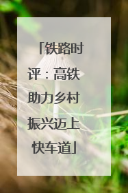 铁路时评：高铁助力乡村振兴迈上快车道